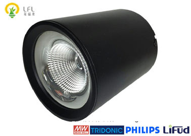 Dia Döküm Alüminyum ile 120lm / W 30W Siyah LED Ticari Tavan Işıkları