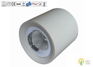50000 saat Hayat boyu Ticari LED Dış Işıklama 130lm / W Işık Verimliliği ve IP65 Su geçirmez